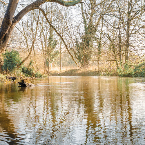 Little Tolpitts Lane, Watford WD18 9QG