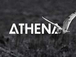 A Bold Step Towards the Future With a New Brand