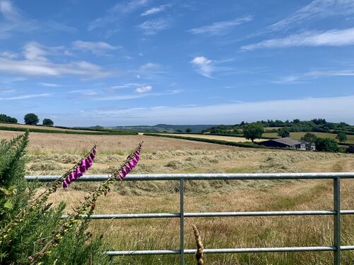 A Weekend of Pilgrimage Part 1 - The Eden Way, Devon