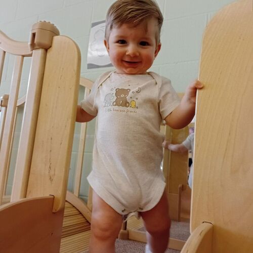Gallery  | Little Pals Nursery