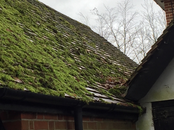 Do I need a detailed building survey when purchasing a property?