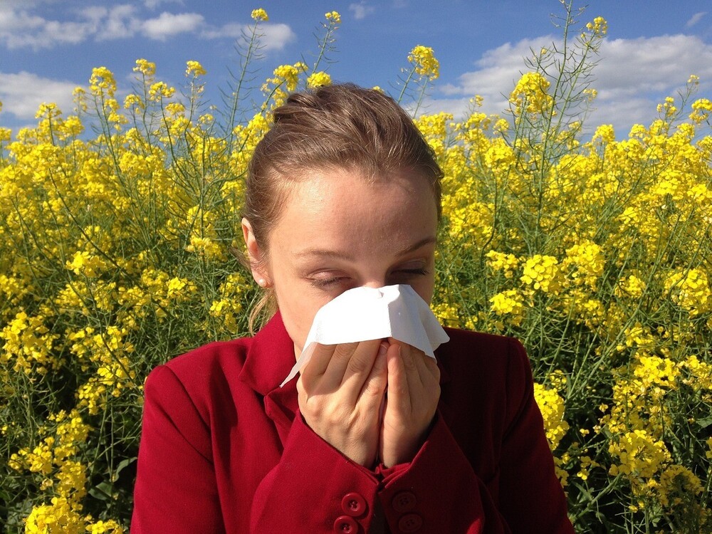 Hay Fever is Not To Be Sneezed At!