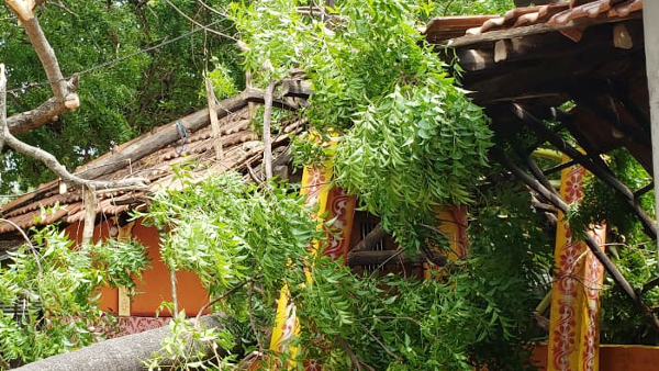 யாழில் கடும் காற்றால் 3 குடும்பங்கள் பாதிப்பு