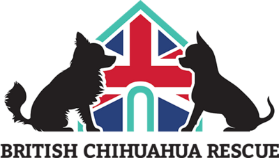 British Chihuahua Rescue