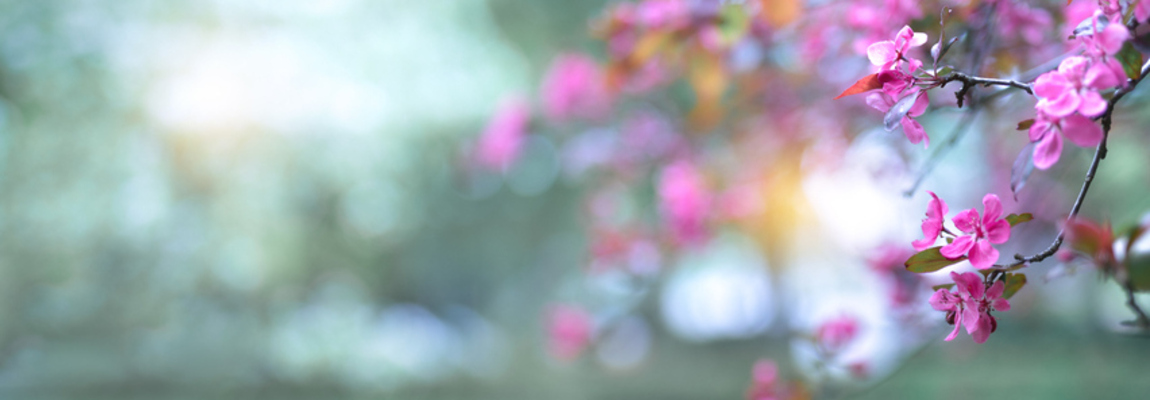 Anxiety, Depression, PTSD, and Trauma Counselling South Wales 