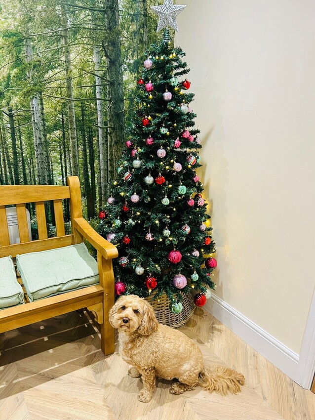 Christmas Tree of Memories