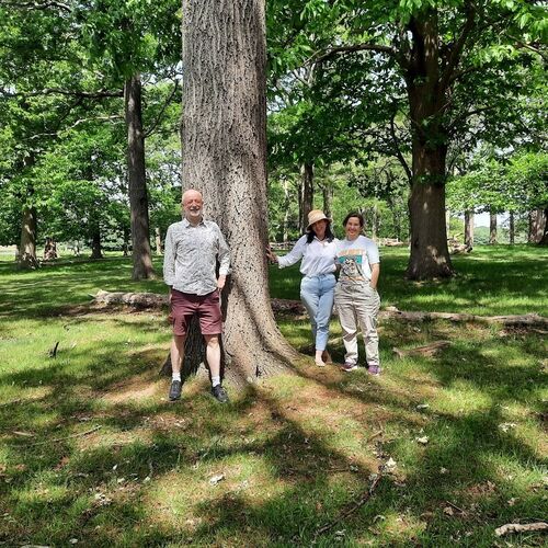 Walking with trees