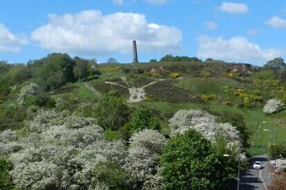 Crews Hole White House