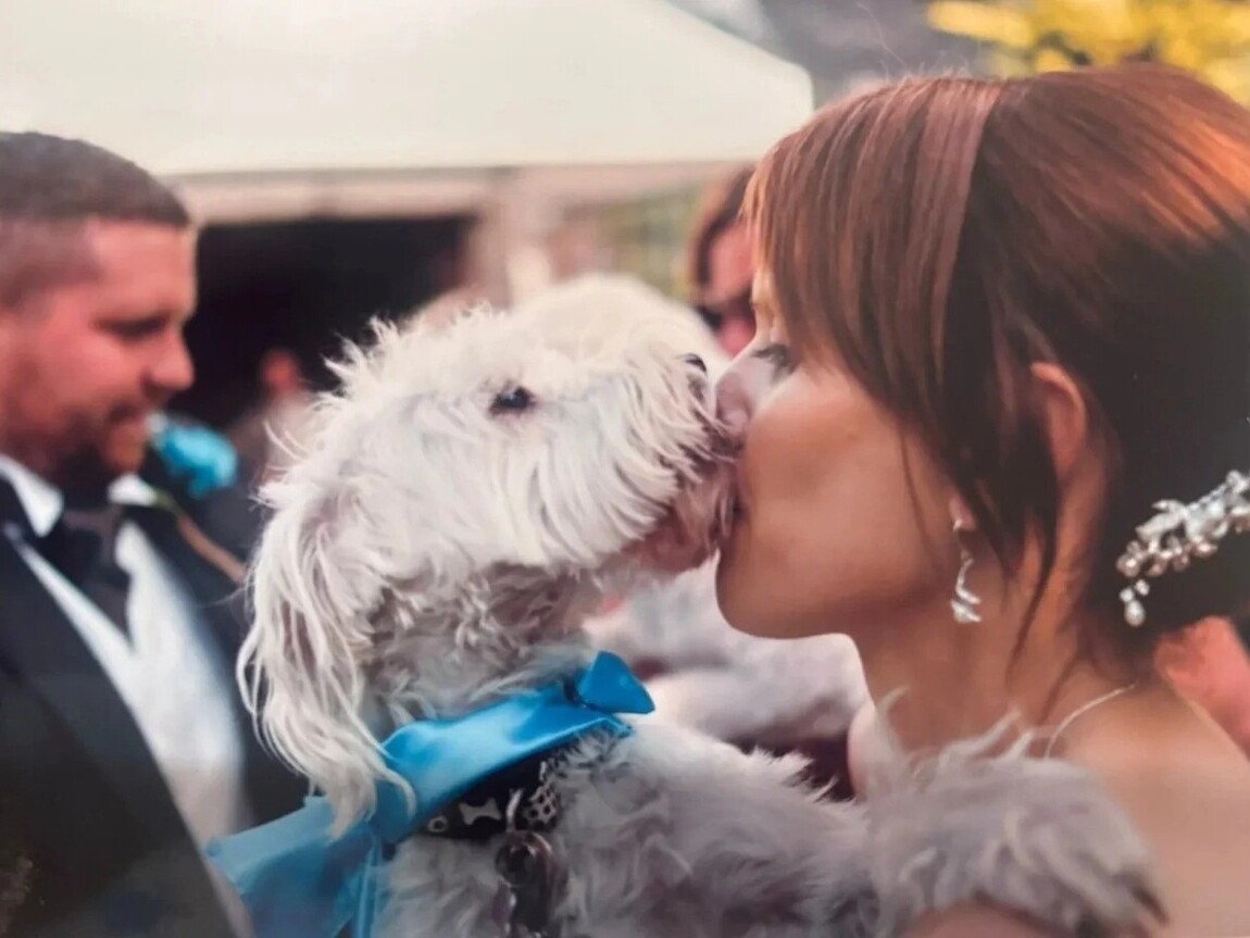 Our Services | Tails Of Love | Wedding dog chaperone Suffolk | Dog Chaperone for weddings in Suffolk  | Include Your Dog in Your Wedding Day