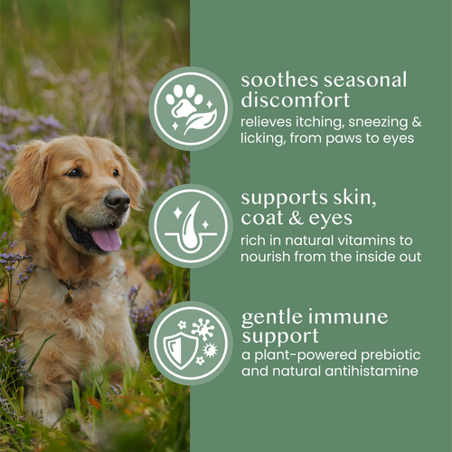 Fettle Nettle Powder