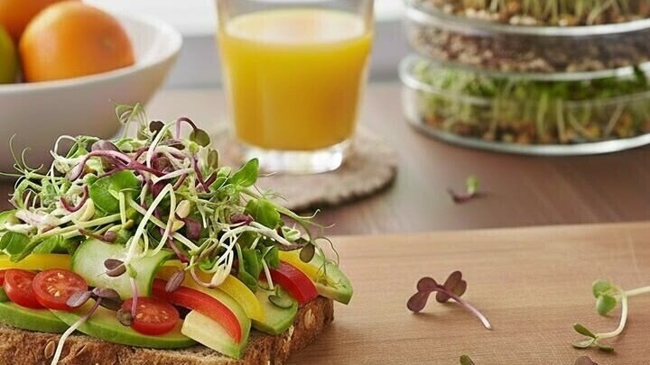 Healing Diets | Naturopathic Nutritionist