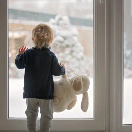 VION® WWF Insulation Film