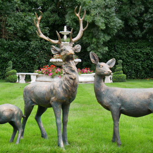 Family of stags.