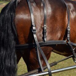 Kicking Strap - Cob Size