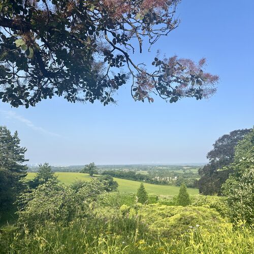 Old Down Estate June 2026 | Bailey Cook Financial Planning | Bailey Cook Financial Planning | Charles Bailey, Bailey Cook | Andrew Cook, Bailey Cook