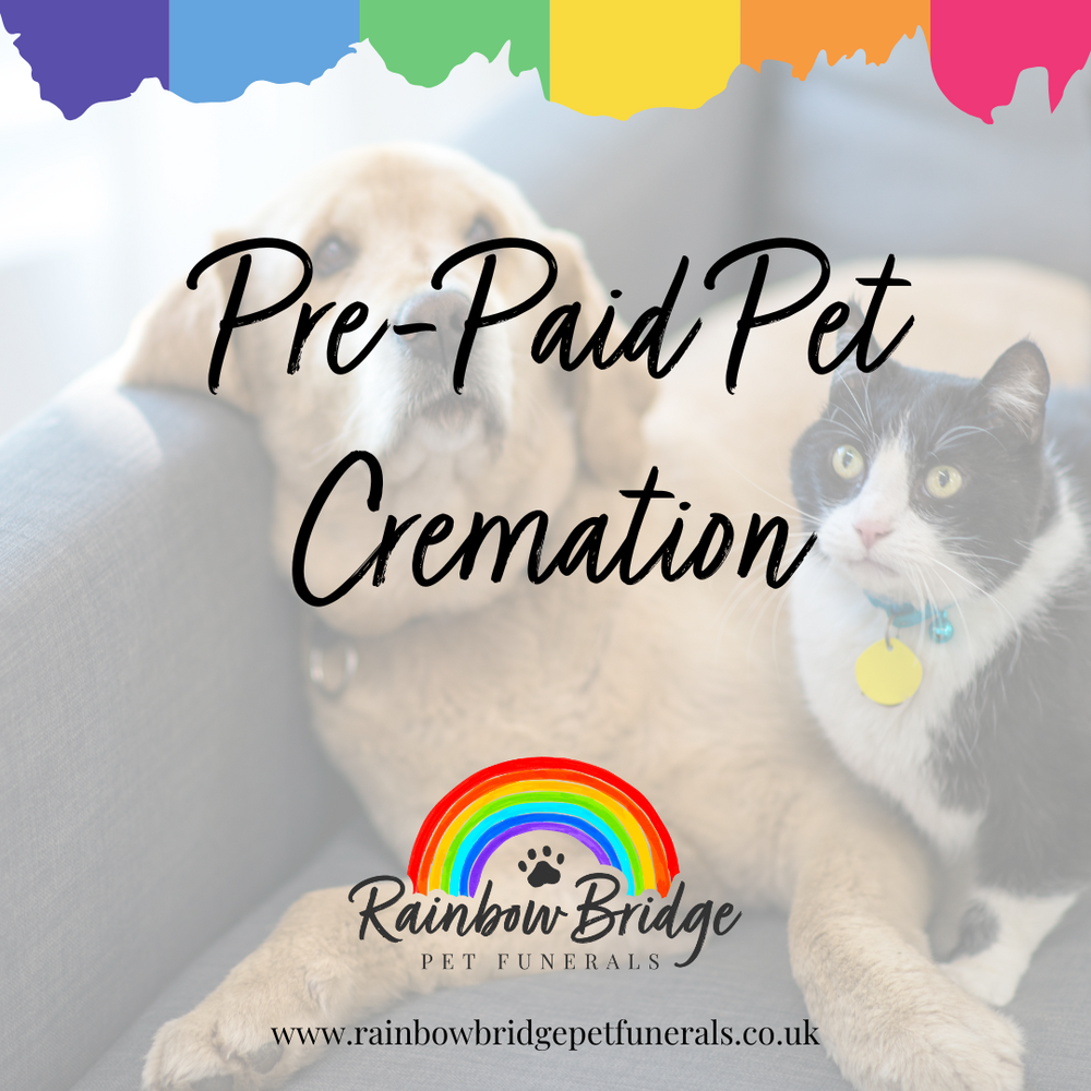 Introducing Pre-Paid Pet Cremations: Plan Ahead with Peace of Mind | Rainbow Bridge Pet Funeral Services