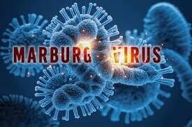 Ethiopia confirms first outbreak of Marburg virus disease