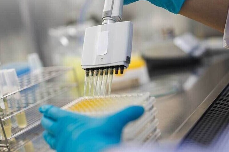 Investment Approach (Original - Don't Edit)