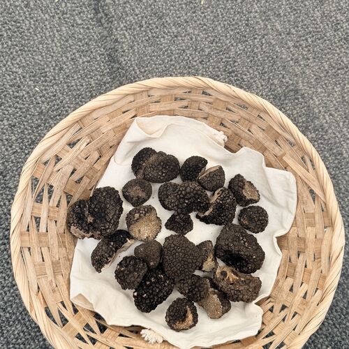 DOG TRAINING TRUFFLES