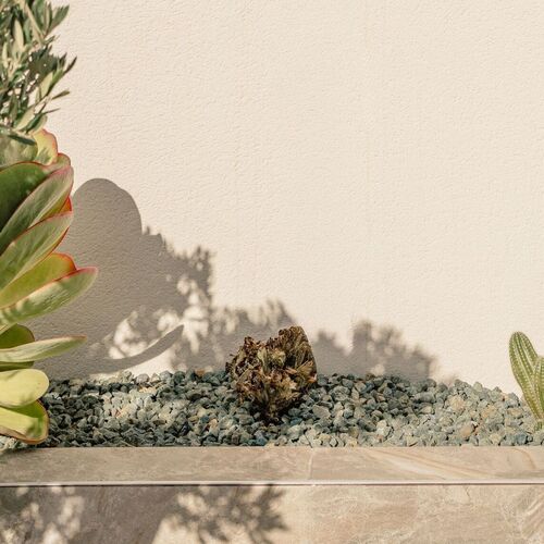 Calle San Miguel, Rojalas