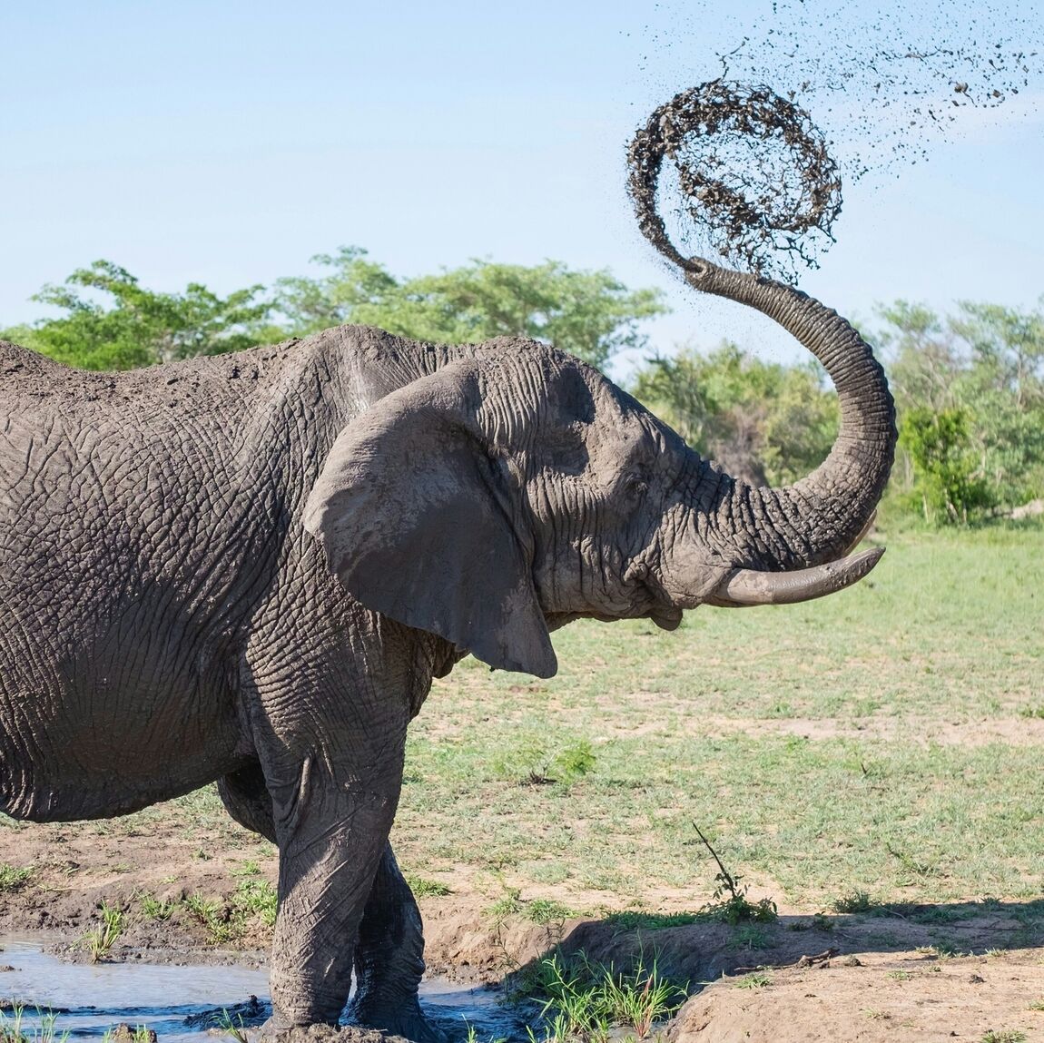 South Africa Retreat