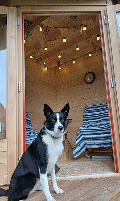 Why real reviews matter