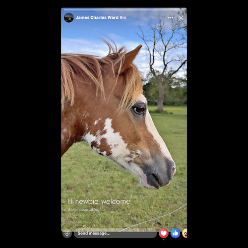 SUMMER EVENTS | Brampton Stables LLP | Riding Lessons in Church Brampton | Horse Riding all ages near Althorp Estate | Learn to Ride near Northampton