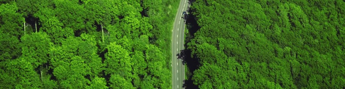 Aerial view of a road running through a green forest.