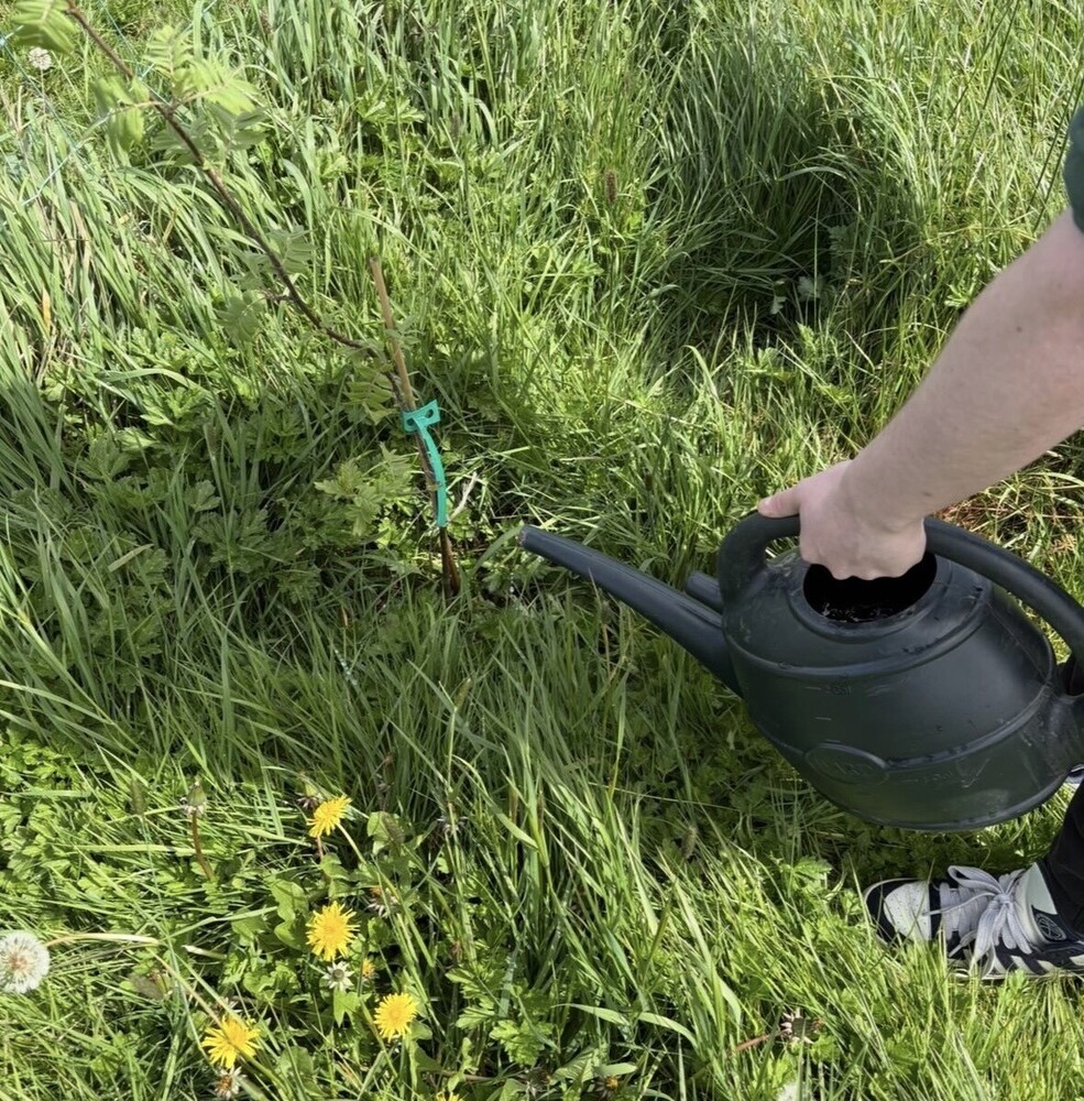 Adults Gardening Group | Heston In The Community 
