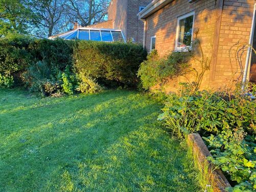 Case Study: From Tank Pool to Ultimate Home Wellness Sanctuary | Tub Tanks | ​Ice Baths Cold Water Therapy | ​Wood fired hot tubs | ​Stock tanks