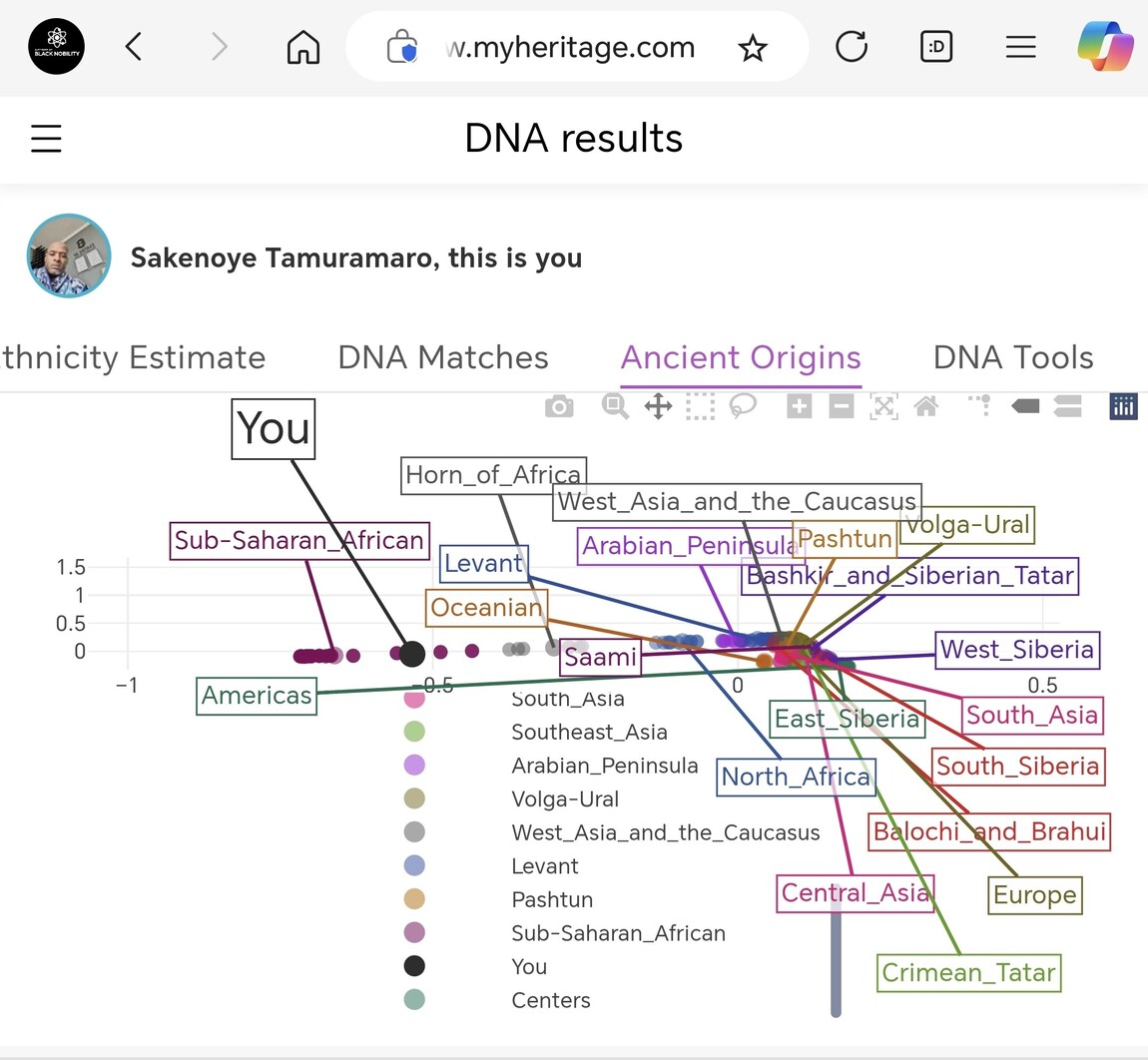 The Lineage of the founder of IoBN - Sakenoye II Tamuramaro 