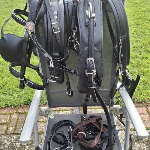 Cob - Classic Harness Set *Secondhand*