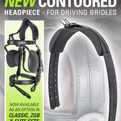 Bridle Parts - Contoured Headpiece