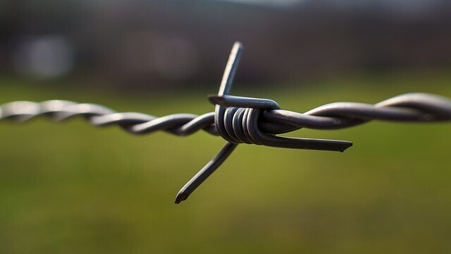 Can you assist with legal boundary disputes through your surveying services?