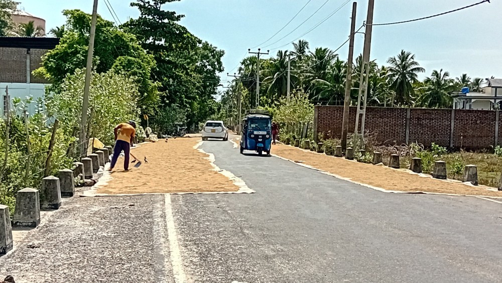 நெல்லை உலர வைப்பதில் சிரமத்திற்குள்ளான விவசாயிகள்