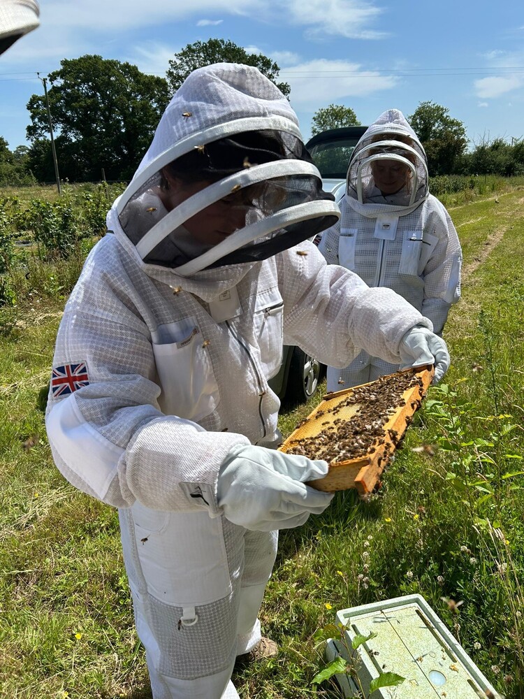 Our Events and courses | East Anglia Apiaries | Raw honey | Local honey | Natural Honey