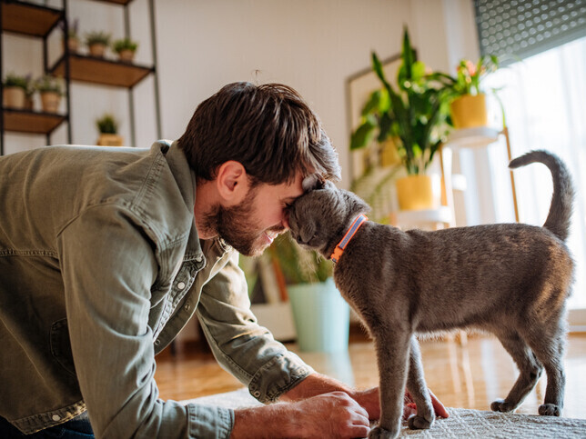 Your Pets Wishes | Rainbow Bridge Pet Funeral Services