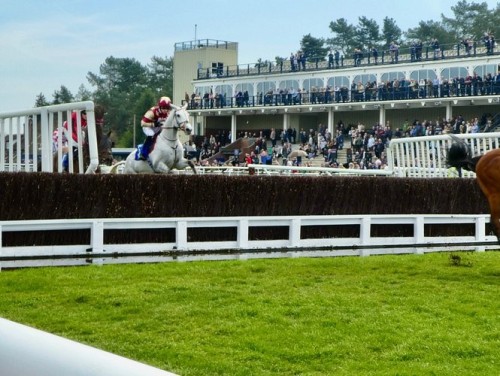 Ludlow Races | Holidayhouseludlow.co.uk
