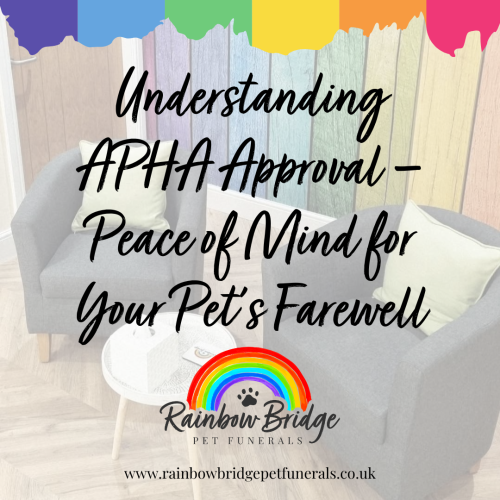 Latest News | Rainbow Bridge Pet Funeral Services