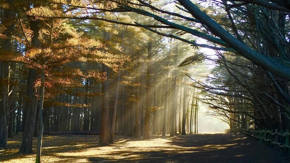 Lost? Or Just Living In The Wrong Place