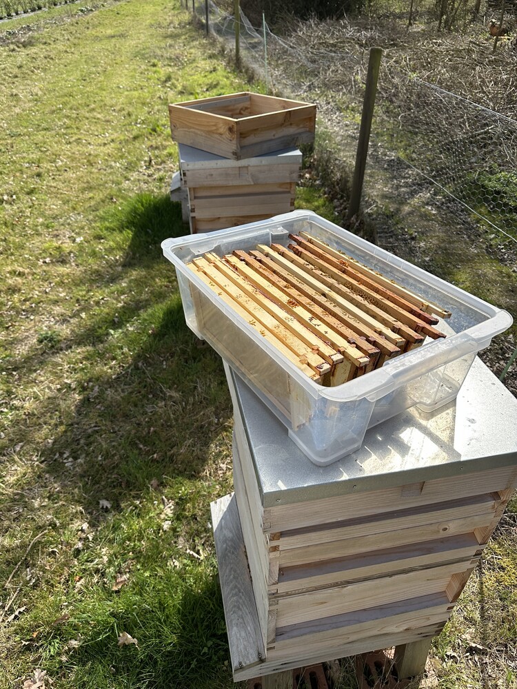 2026 season kicks off!