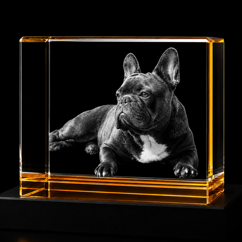 Pet 3D Crystal Gifts | 3d Crystal Shop | 3d crystal glass engraving | Personalised 3d engraving  | 3d crystal photo
