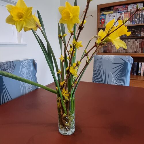 Albemarle Gate 3 Bedroom 2 Bathroom House Overlooking Pittville Park