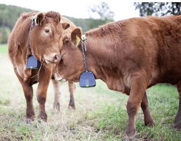 Future Farm Investment Scheme ( FFIS)