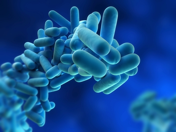 Why Legionnaires’ Risk Assessments Are Essential for Your Building's Safety and Compliance