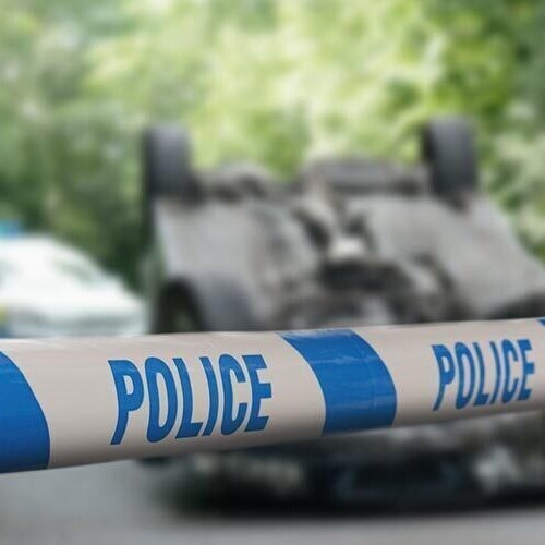 Other Consultancy Services