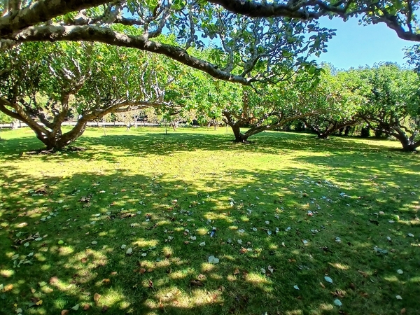 LATE SUMMER IN OXFORDSHIRE 5TH-7TH SEPTEMBER 2025