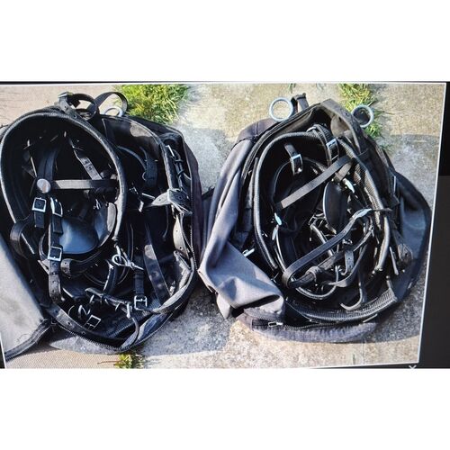 Tedex Shetland Pairs Harness *Secondhand*