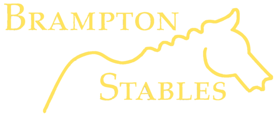 Brampton Stables LLP | Riding Lessons in Church Brampton | Horse Riding all ages near Althorp Estate | Learn to Ride near Northampton