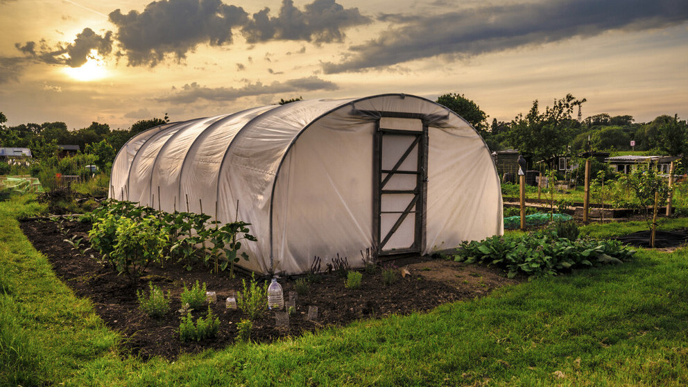 Polytunnels